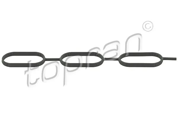 Gasket, intake manifold 111 923