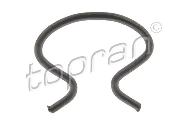 Retaining Spring 205 431