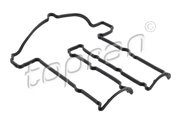 Gasket, cylinder head cover 304 412