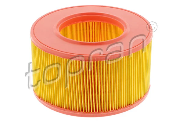 Air Filter 100 168