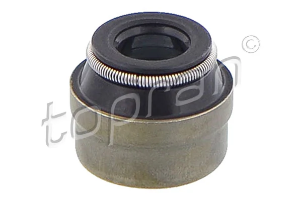 Seal Ring, valve stem 107 502