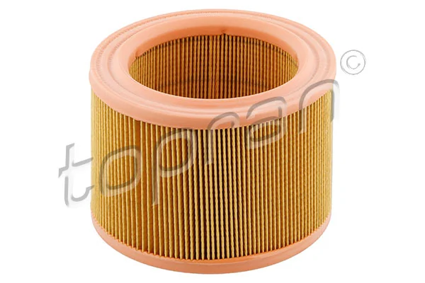 Air Filter 720 953