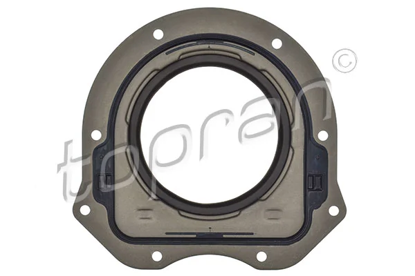Shaft Seal, crankshaft 302 166