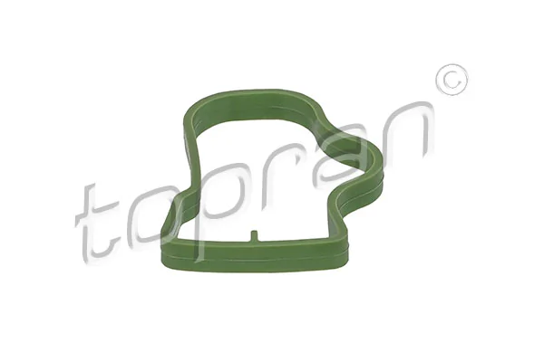 Gasket, intake manifold 208 979