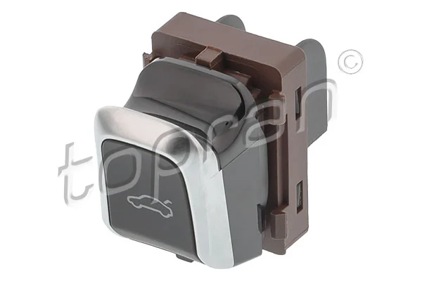 Switch, tailgate release 119 267