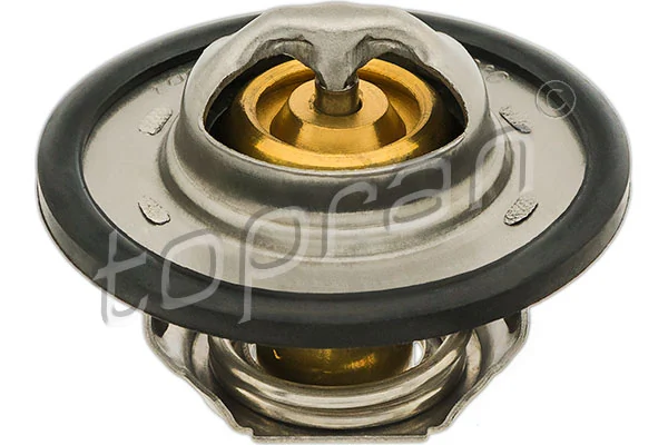 Thermostat, coolant 700 171