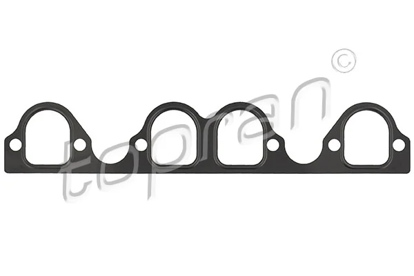 Gasket, intake manifold 100 320