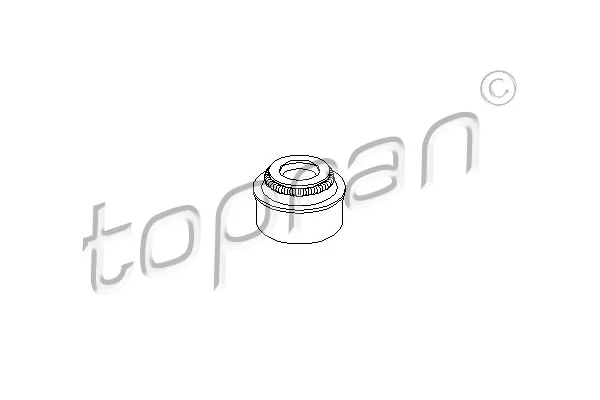 Seal Ring, valve stem 300 354
