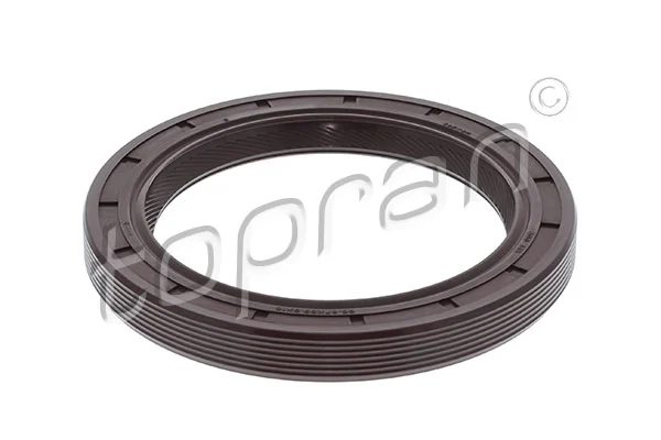 Shaft Seal, crankshaft 300 418
