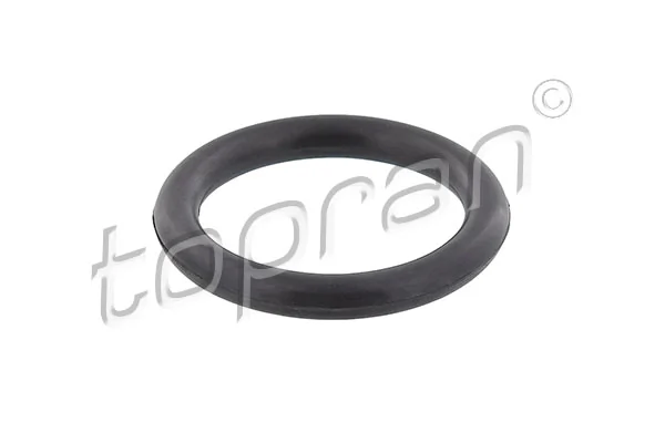 Gasket, intake manifold 304 040