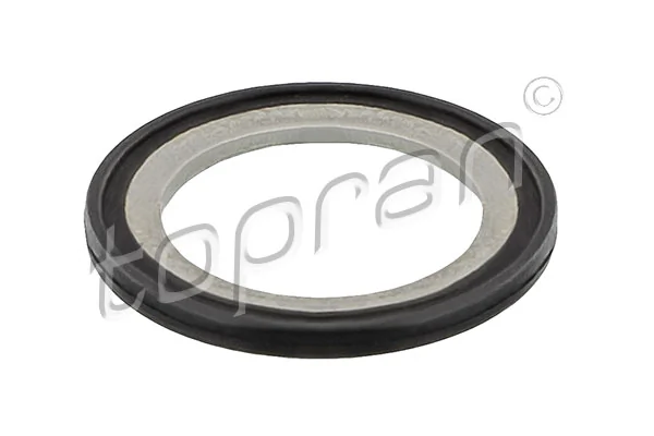 Seal Ring, oil drain plug 117 491