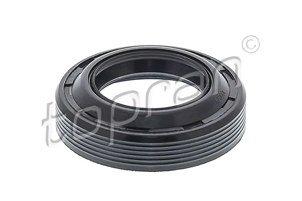 Shaft Seal, manual transmission 100 079