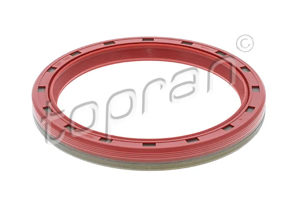 Shaft Seal, crankshaft 201 166