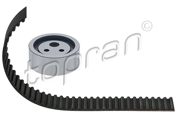 Timing Belt Kit 700 199