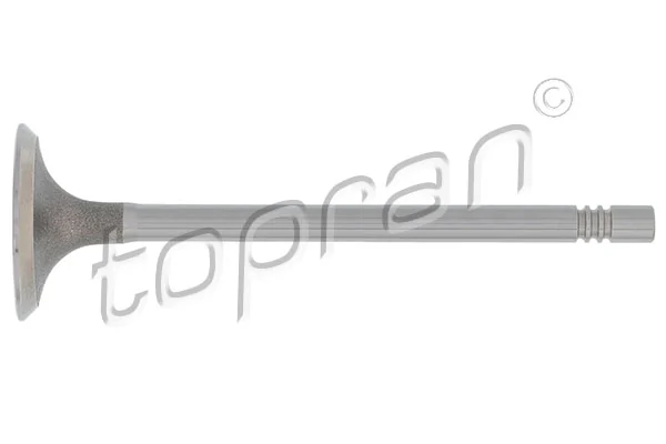 Intake Valve 110 214