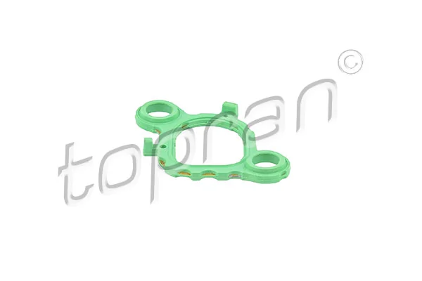 Gasket, intake manifold 111 917