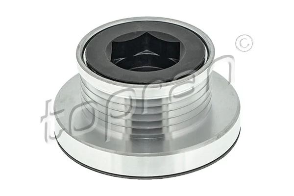 Alternator Freewheel Clutch 701 236