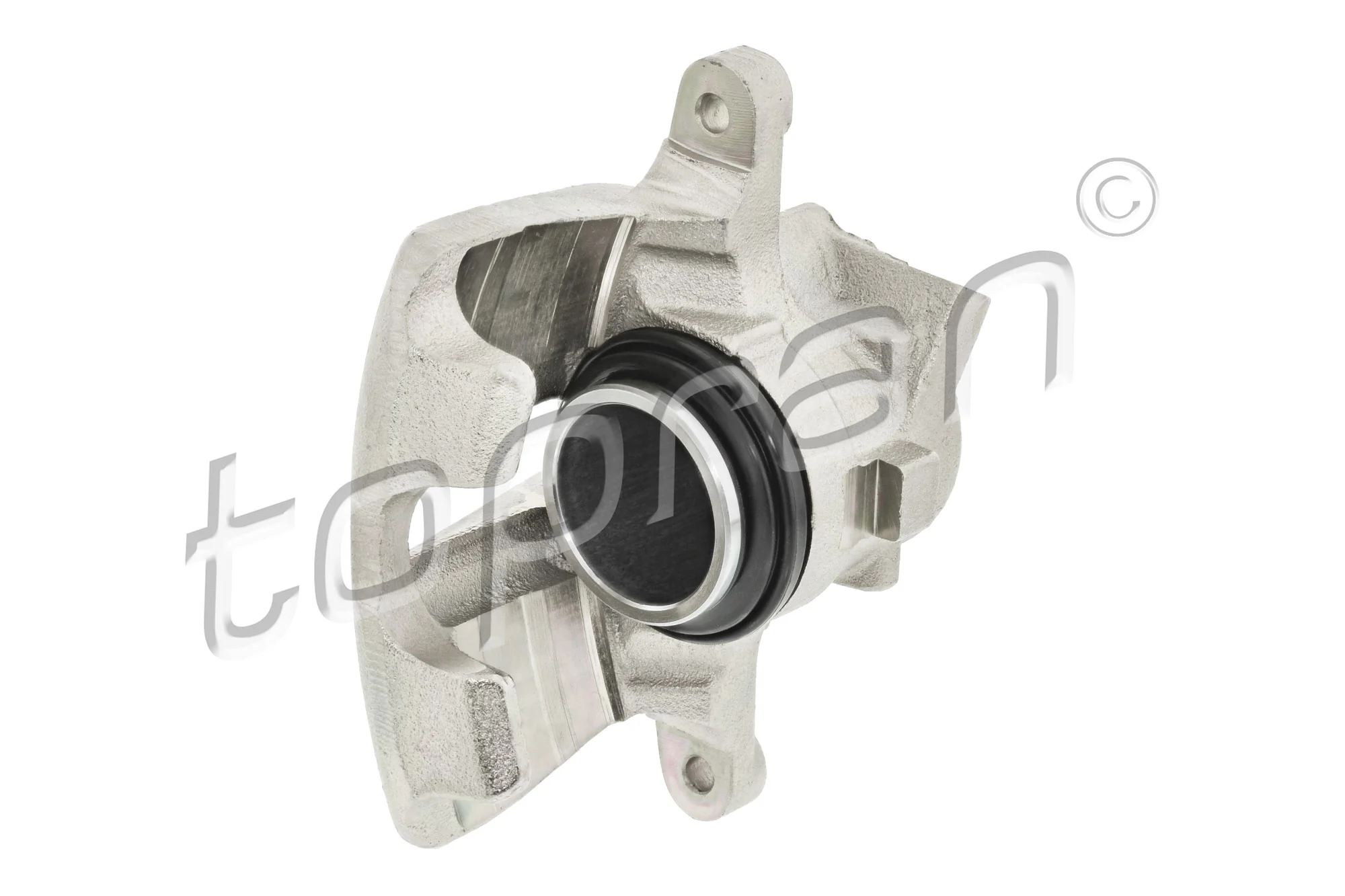 Brake Caliper 110 287