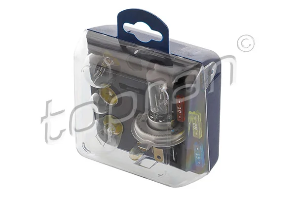 Bulbs Assortment 999 002