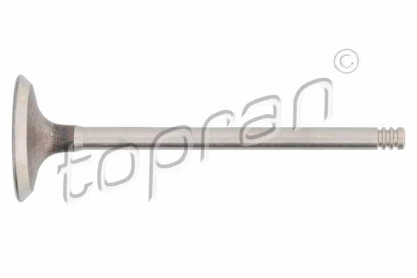Intake Valve 700 659