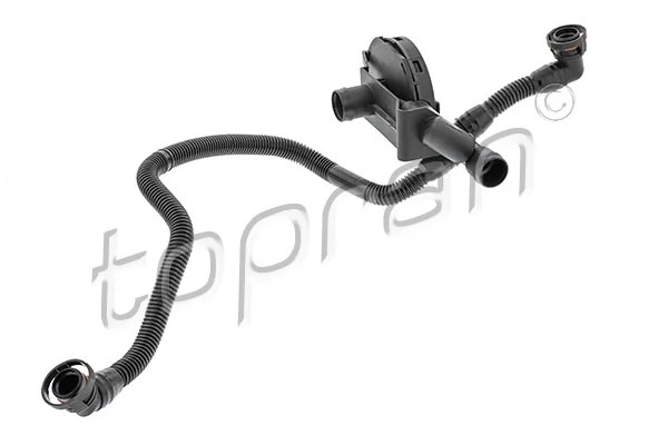 Hose, cylinder head cover ventilation 116 426