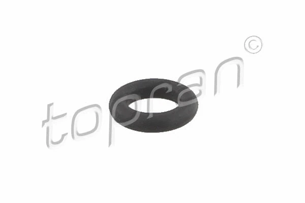 Seal Ring, injector 117 914