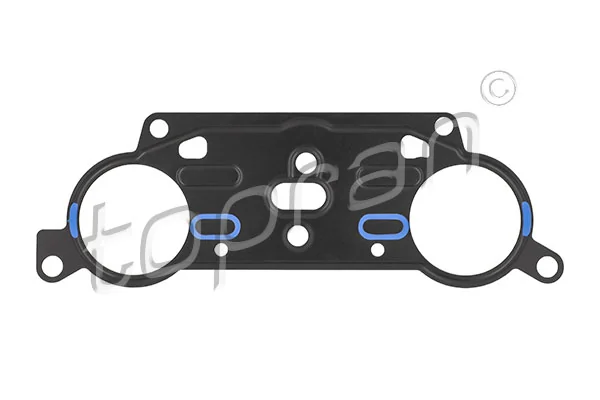 Gasket, timing case 113 283