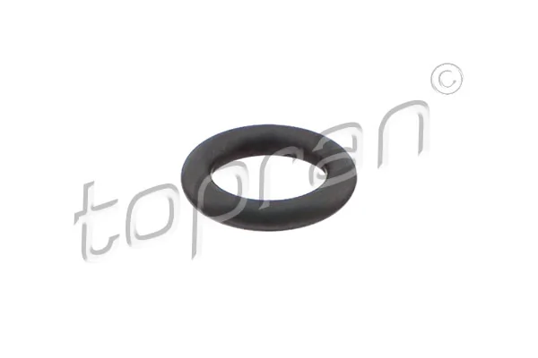 Seal Ring, injector 114 549