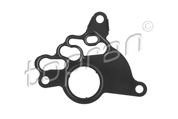 Gasket, vacuum pump 111 928