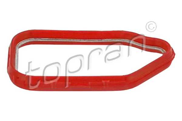 Gasket, timing case 408 632