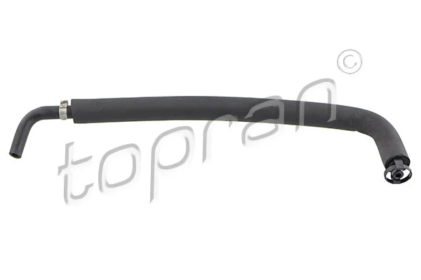 Hose, cylinder head cover ventilation 501 784