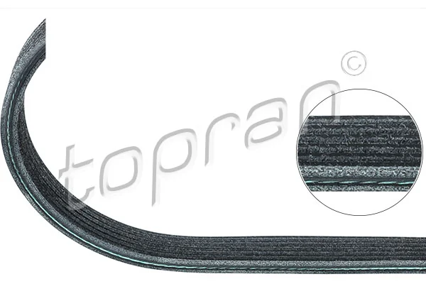 V-Ribbed Belt 109 659