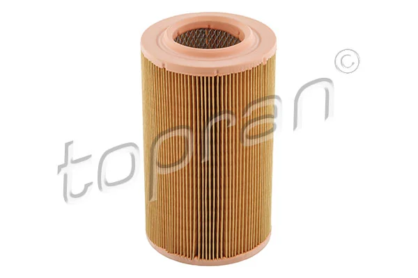 Air Filter 720 955