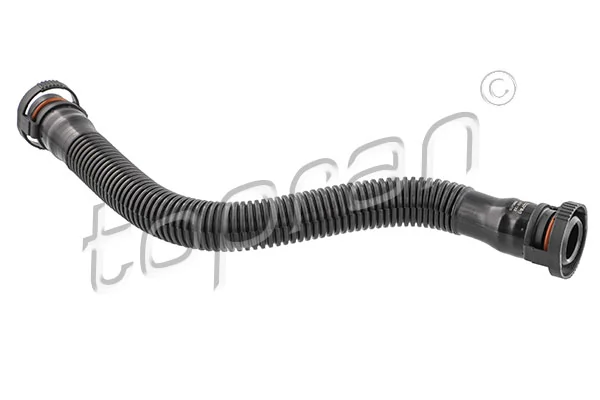 Hose, cylinder head cover ventilation 503 122