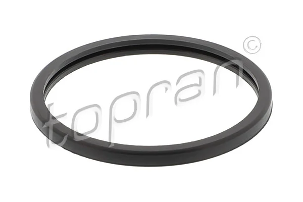 Seal, thermostat 722 053