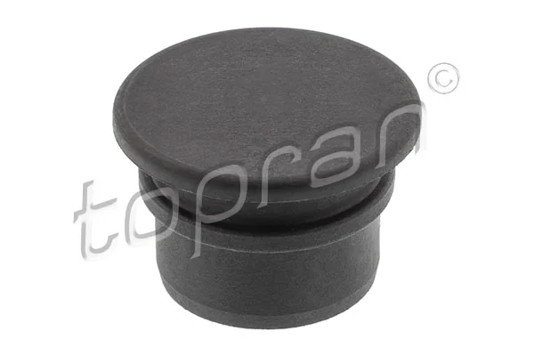 Sealing Plug, coolant flange 119 966