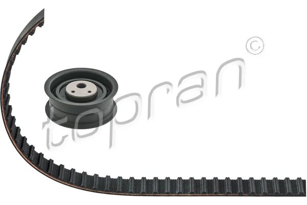 Timing Belt Kit 101 433