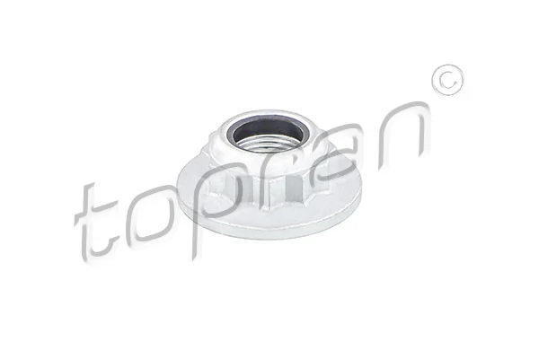 Nut, kingpin 111 315