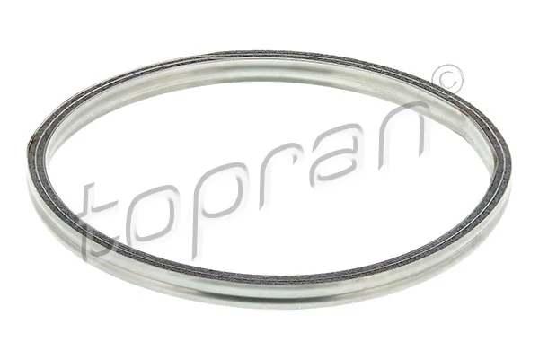 Gasket, exhaust pipe 302 247
