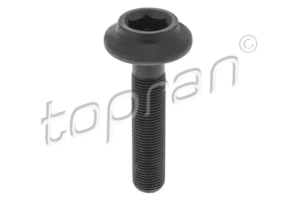 Axle Bolt, drive shaft 108 139