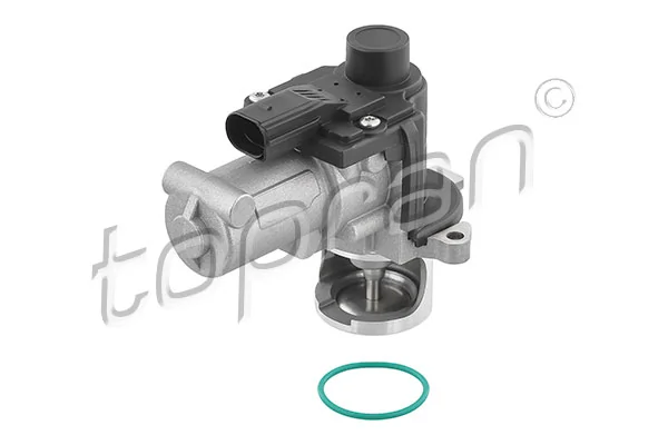 EGR Valve 117 408