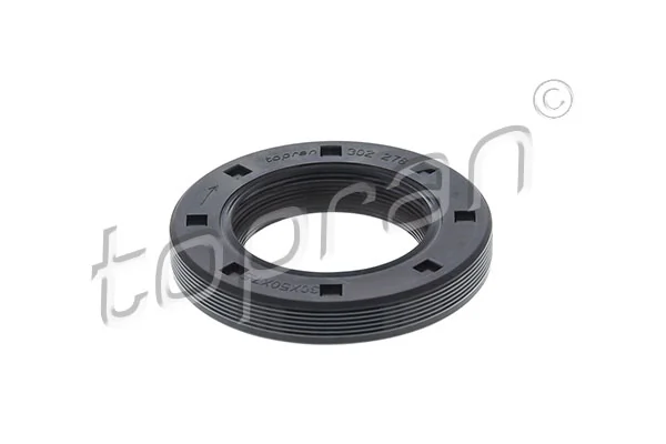 Shaft Seal, crankshaft 302 278