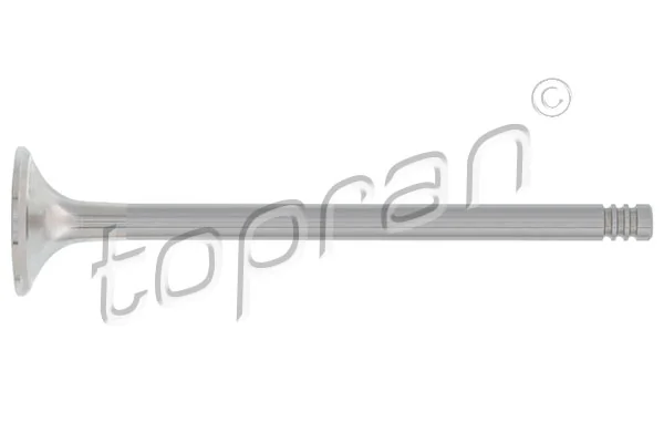 Exhaust Valve 110 208