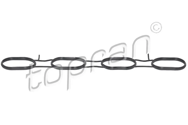 Gasket, intake manifold 701 689