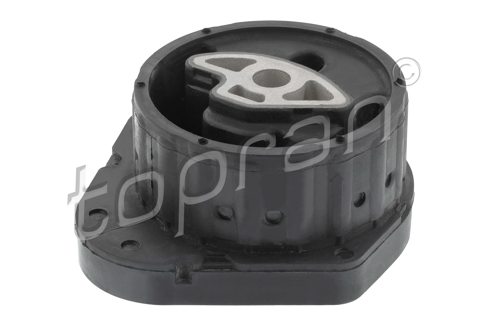 Mounting, transfer case 503 966
