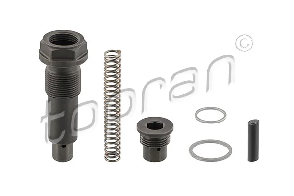 Tensioner, timing chain 408 971