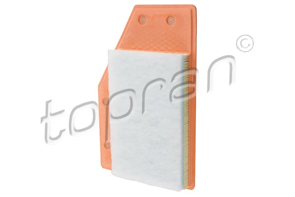 Air Filter 209 018