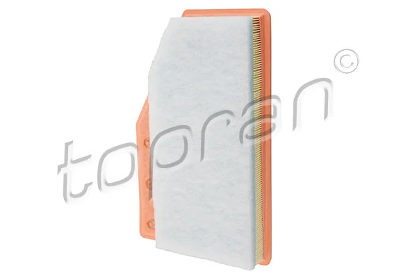 Air Filter 209 019