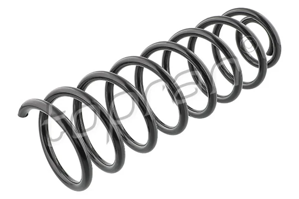 Suspension Spring 102 825