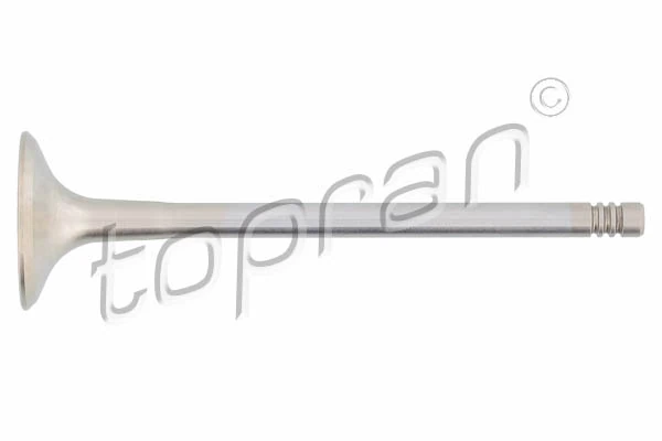 Exhaust Valve 107 133